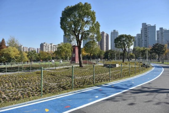 中欧体育下载体重管理怎么做？上海春季绿色运动指南请收好(图3)