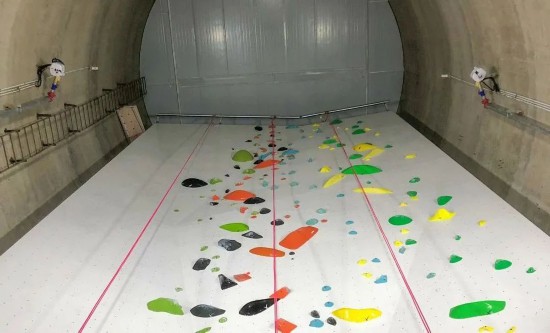 中欧体育下载体重管理怎么做？上海春季绿色运动指南请收好(图20)