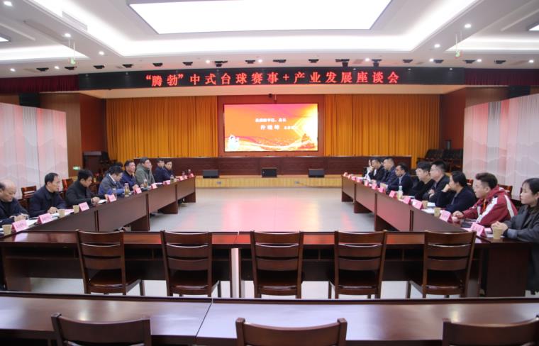 台球赛事全力燃放激情 “中欧体育下载滋味宿松”探索融合发展新路径(图5)