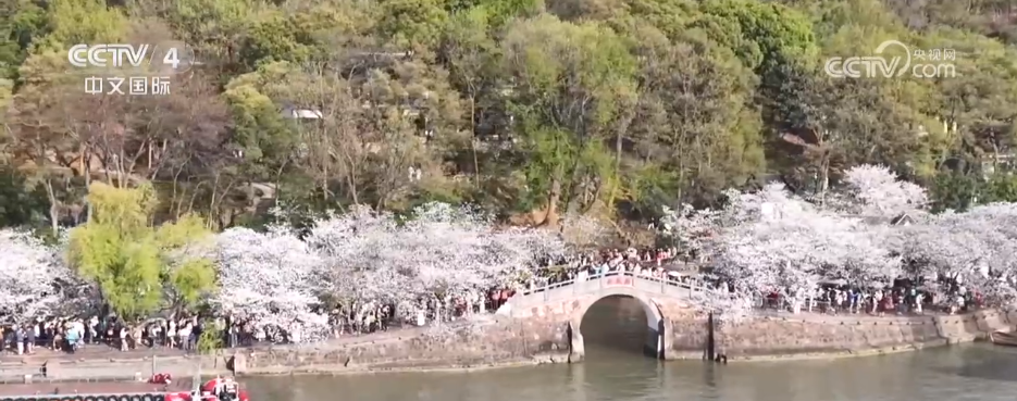 中欧体育入口赛事聚“流量”经济添“增量” 以“赛”为媒激发多元消费新活力(图1)